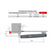 CAME AXL combo KIT (AXL -4) Комплект для распашных ворот до 250 кг